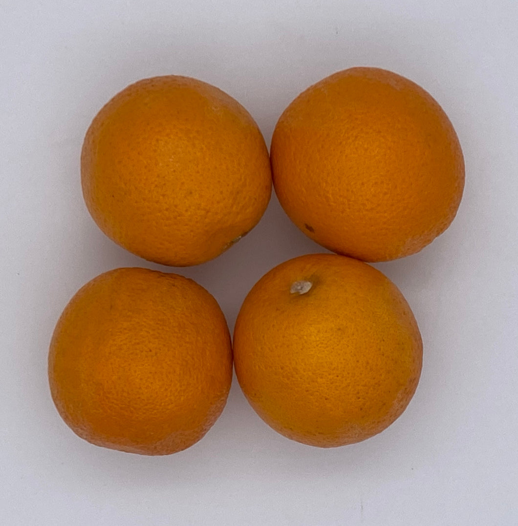 Oranges XL (4)