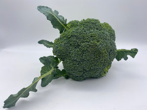 Broccoli English Each