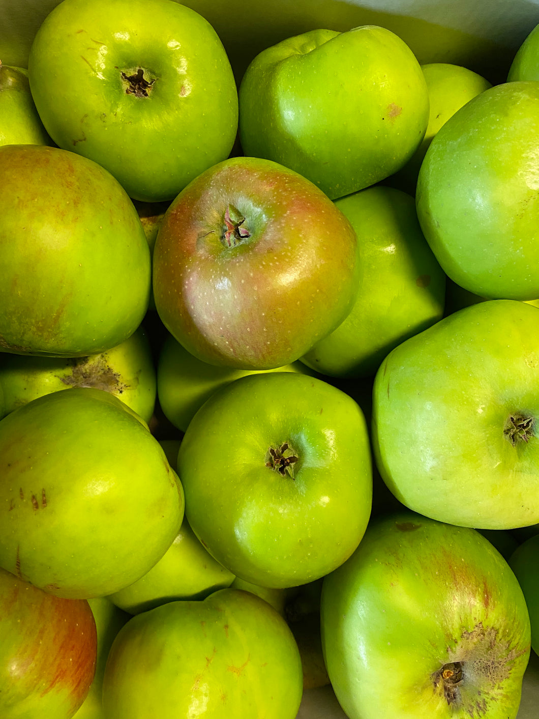 Bramley Apples English (1kg)